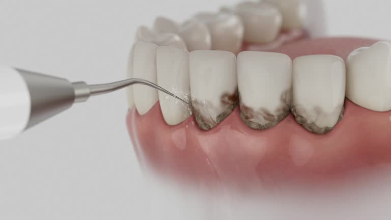Reliable Dental contractor in Rosenberg, TX by Dentist Open Now